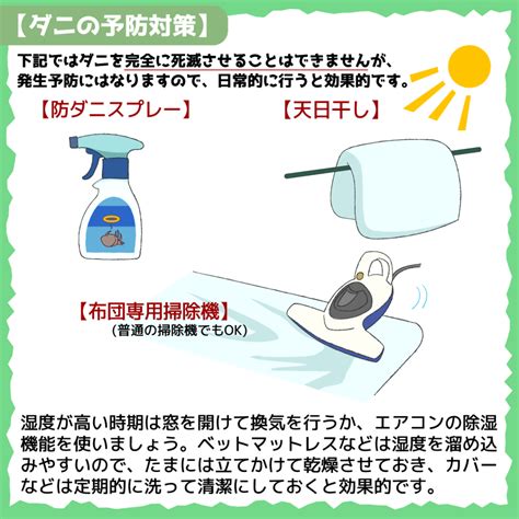 ベランダダニの対策と予防