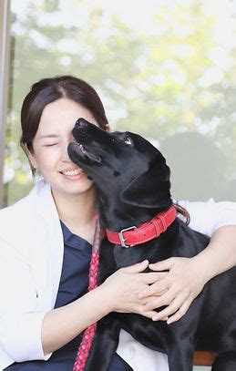 ベル動物病院 岐阜：岐阜の最高の動物病院のすべて