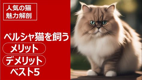 ベージュの猫：魅力と飼い方に関する包括ガイド