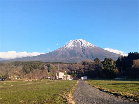 ペットとの思い出を振り返る