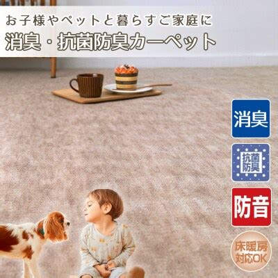 ペットと暮らすご家庭に最適な「洗えるカーペット」の選び方と徹底活用ガイド