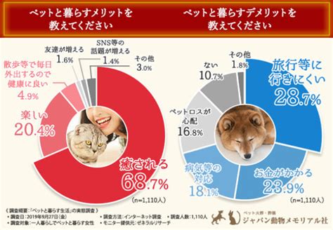 ペットと暮らすメリットとデメリット、一緒にできること