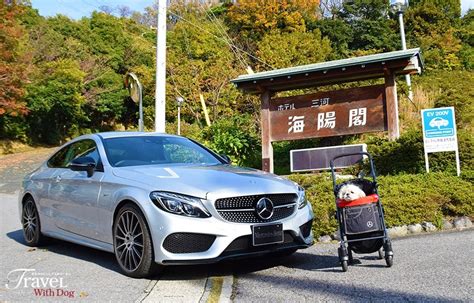 ペットと泊まれる三河の極上宿：ホテル三河海陽閣