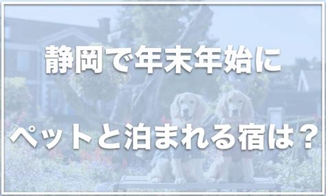 ペットと過ごす年末年始を彩る！年賀状でペットの魅力を伝えよう