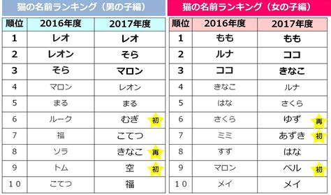 ペットにぴったりの「丸」のつく名前