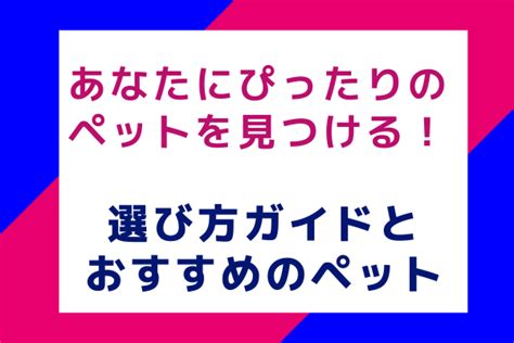 ペットにぴったりのオモチャ選びガイド