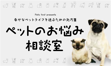 ペットのいるお家のお悩み解決！カーペットの気になるニオイを撃退する方法