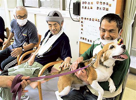 ペットのいる介護施設。犬との触れ合いが、高齢者の生活に与える効果