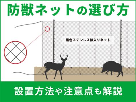 ペットのための柵選びと設置のガイド