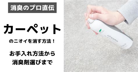 ペットのニオイをカーペットから取り除く：包括ガイド