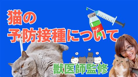 ペットの予防接種：健康を守る重要な鍵