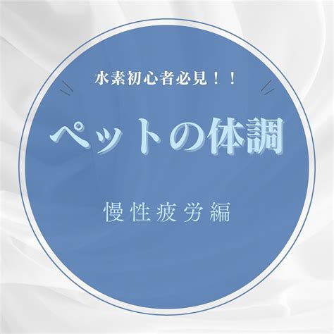 ペットの健康と幸福を第一