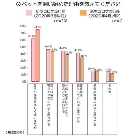 ペットの飼育における法的根拠