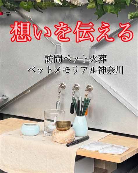 ペットは私たちの家族です。彼らの健康と幸せは、私たちの生活を豊かにします。