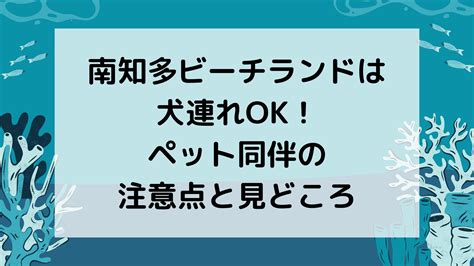 ペットも楽しめる南知多ビーチランドで最高の時間を過ごすためのガイド