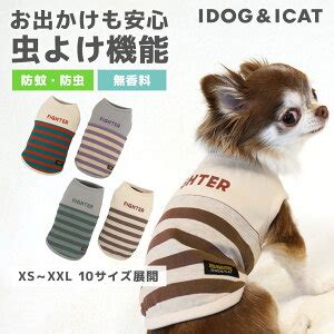 ペットを虫から守る! 犬用防虫服の選び方と正しい使い方