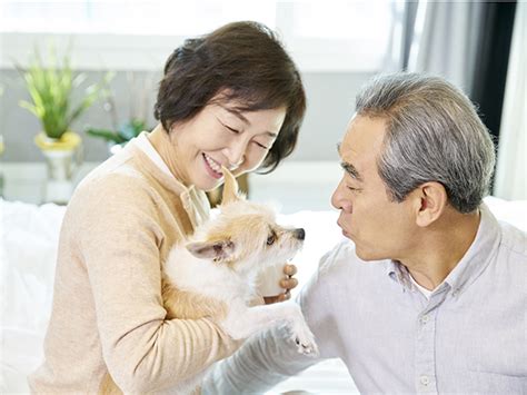 ペットを飼いたい、でも手入れが大変。そんな方に朗報です！ 近年、ペットのニーズを満たす革新的なソリューションとして、ロボットペット鳥が注目を集めています。