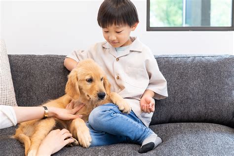 ペットを飼うことの利点と注意点