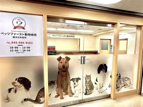 ペットファーストエイド: かわいい動物病院での緊急処置