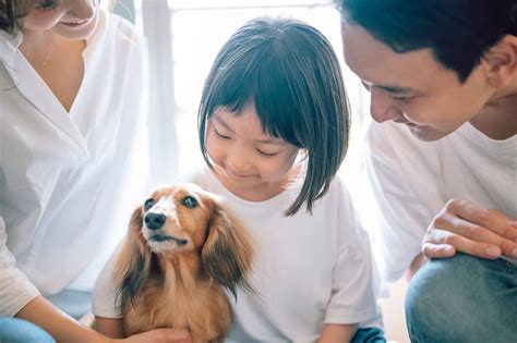 ペットロス症候群の症状