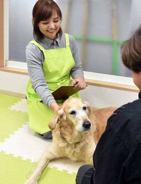 ペット介護施設とは？