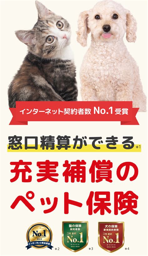 ペット保険選びの決定版！「クラブ アイ ペット」の徹底解説