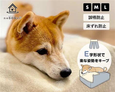 ペット用ベッドカバー: 愛犬との快適な睡眠を手に入れるための徹底ガイド