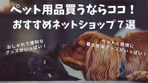 ペット用品が豊富な心斎橋のおすすめ店舗