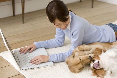 ペット用品の選び方：愛犬と愛猫のための必須ガイド