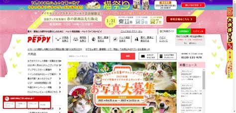 ペピィ猫完全ガイド: あなたのふわふわした親友のために知っておくべきすべて