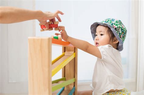 ボール転がるおもちゃ：遊びながら学べる知育玩具の選び方と効果