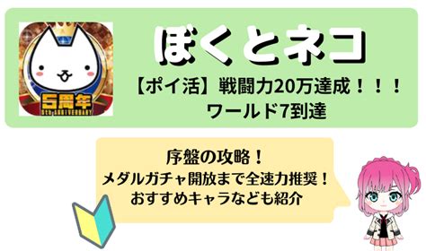 ポイントネコ完全ガイド：種類、特徴、飼育のコツ