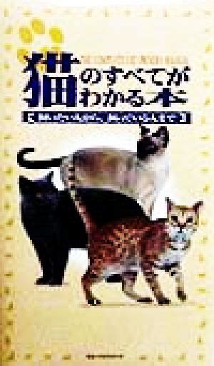 ポイント猫のすべて：選び方から飼い方まで