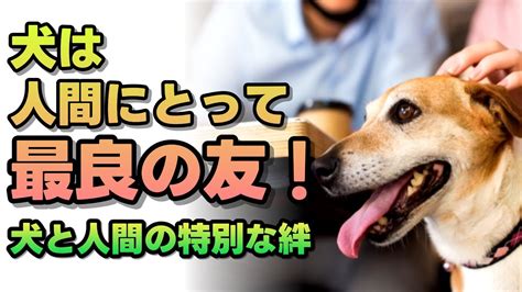 ポピーと犬：特別な絆