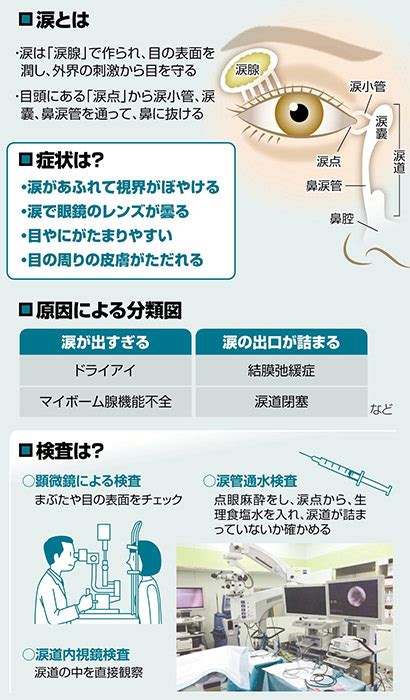 ポメラニアンの流涙症：症状、原因、治療法