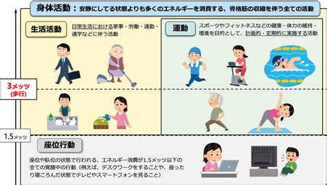 ポメラニアンの運動量：健康的な生活のための必須条件