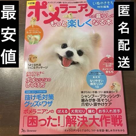 ポメラニアンの飼い方完全ガイド：幸せで健康な生活のために！