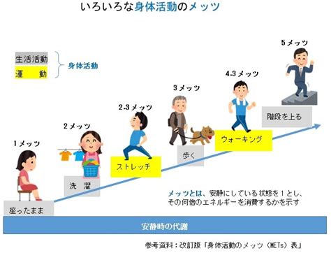 ポメラニアンは1日あたり30～60分の適度な運動を必要とします。