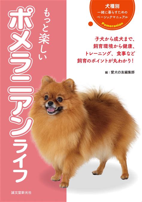 ポメラニアンを飼う上で、その飼いやすさを知る