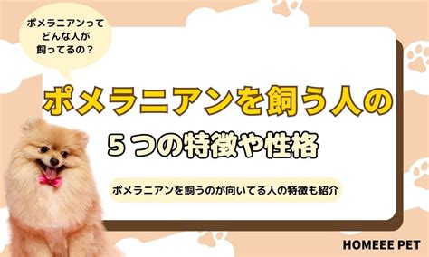 ポメラニアン６ヶ月の子犬を飼うために知っておきたいすべてのこと