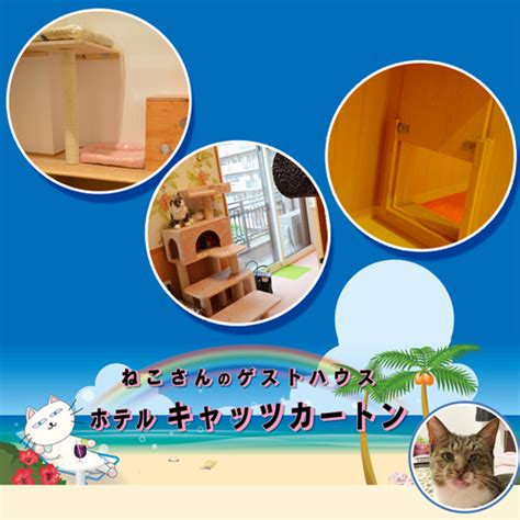 ポールキャッツ：熱心なペットオーナーのための包括ガイド