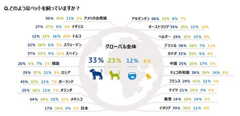 ポールキャット: 世界で最も愛されているペットの1つ