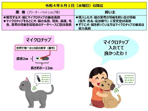 マイクロチップと人間：日本における現状と展望