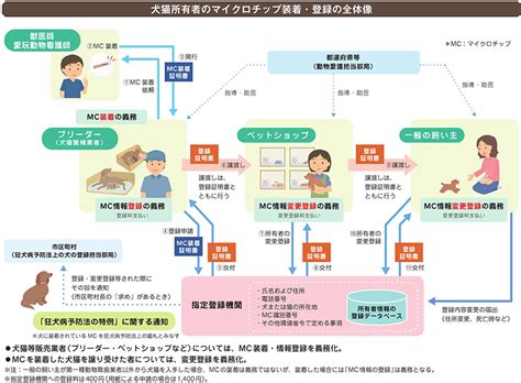 マイクロチップスキャナーアプリ：ペットの迷子を防止するための最善の方法