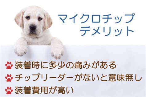 マイクロチップ犬 デメリット