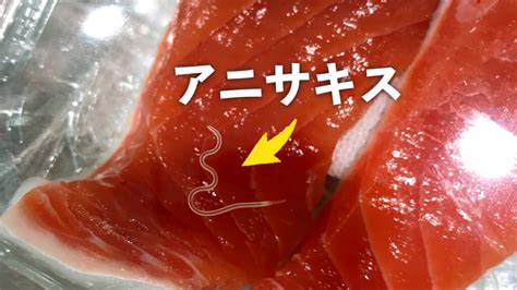 マグロの美味しさに潜む驚きの寄生虫