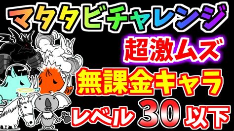 マタタビチャレンジ：最高の健康と幸福への扉を解き放て