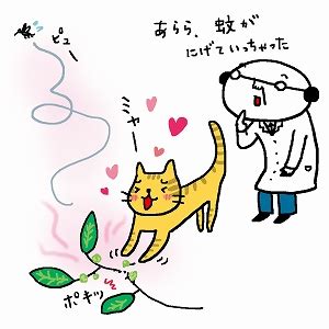 マタタビラクトン：猫を魅了する神秘的な物質