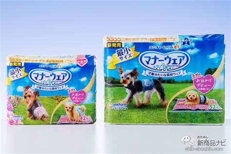 マナーウェアで愛犬との散歩を快適に！