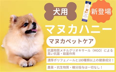 マヌカハニーが犬の歯石に効く仕組み